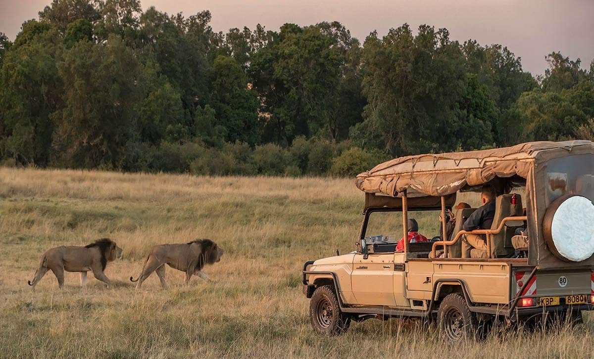 Toyota Land Cruiser East Africa