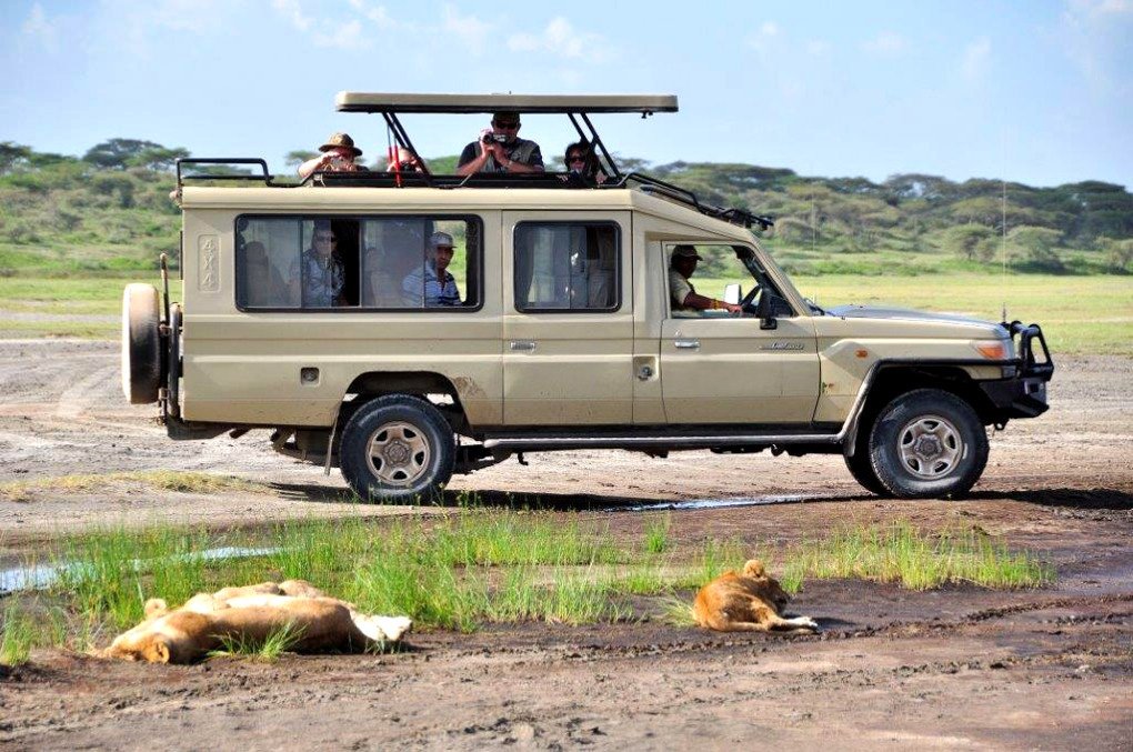 Here Africa Select Cruiser