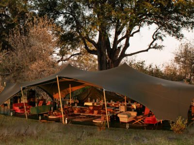 Natural-Habitat-Adventures-Accommodation-Explorer-Camp-Okavango-North-Okavango-Delta-1-NHA-Expedition-Camp-mess-tent_RGB