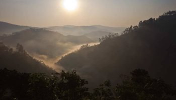 Bwindi-Impenetrable-National-Park-7